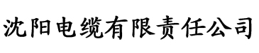 正能量网站www正能量免费电缆厂logo